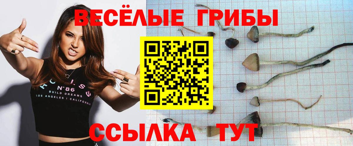 Галлюциногенные грибы Cubensis Шатура