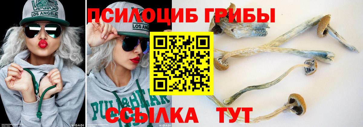 Шатура  Галлюциногенные грибы мицелий  как найти закладки  Галлюциногенные грибы Cubensis  Вход с VPN 
